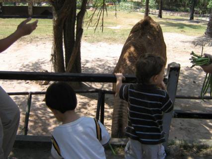 November 2008 110.jpg